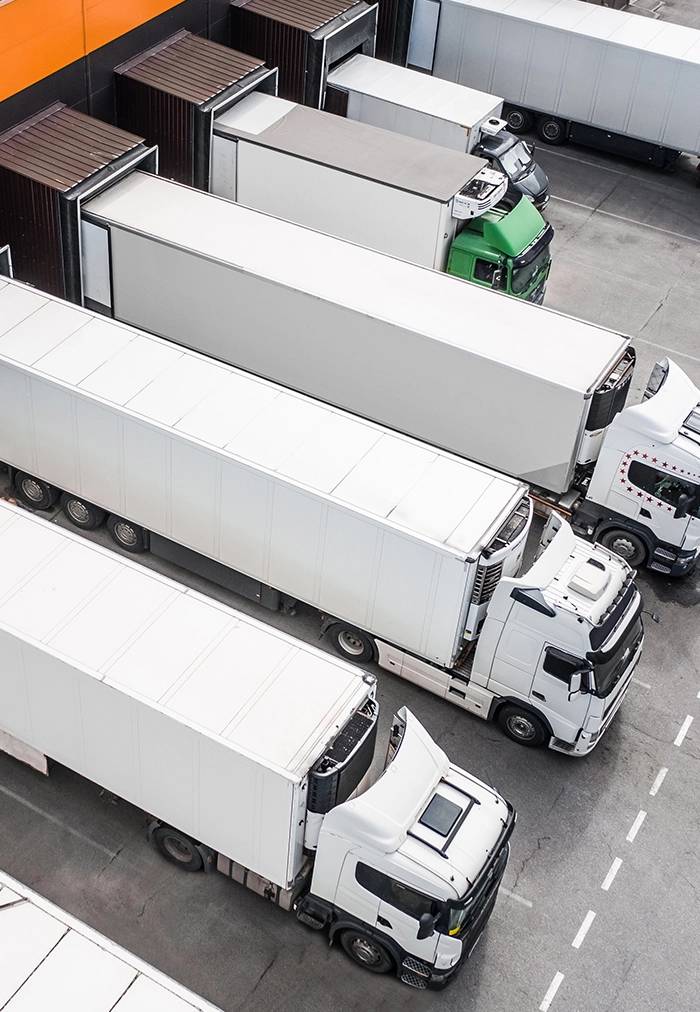 Logistics & Distribution Support